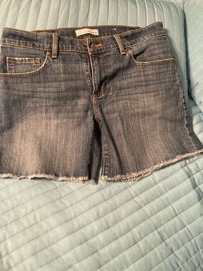 LOFT Medium Blue Denim Cutoff Shorts
